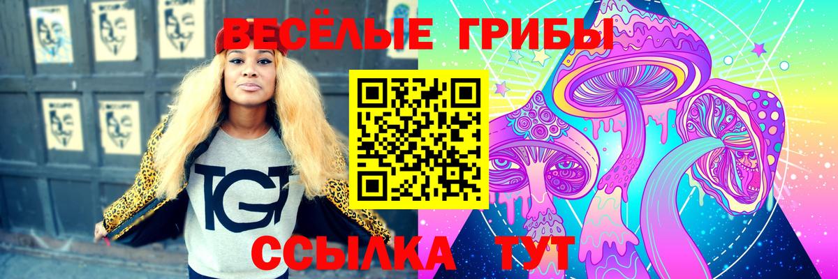 Галлюциногенные грибы Psilocybine cubensis  Вход с VPN  Ртищево 
